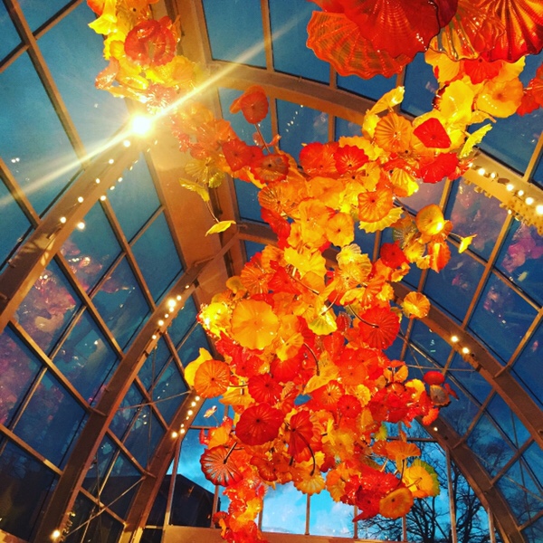 Chihuly sculpture garden