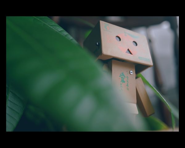 Danbo with leaves