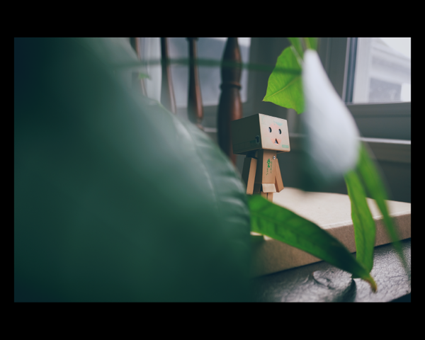 Danbo with leaves