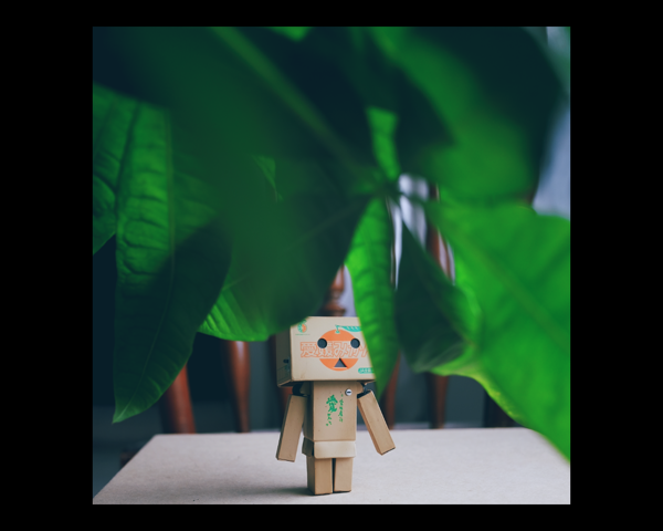 Danbo with leaves