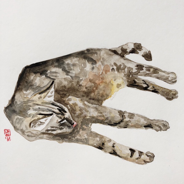 Tabby cat watercolor