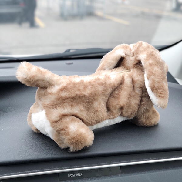 Stuffed rabbit