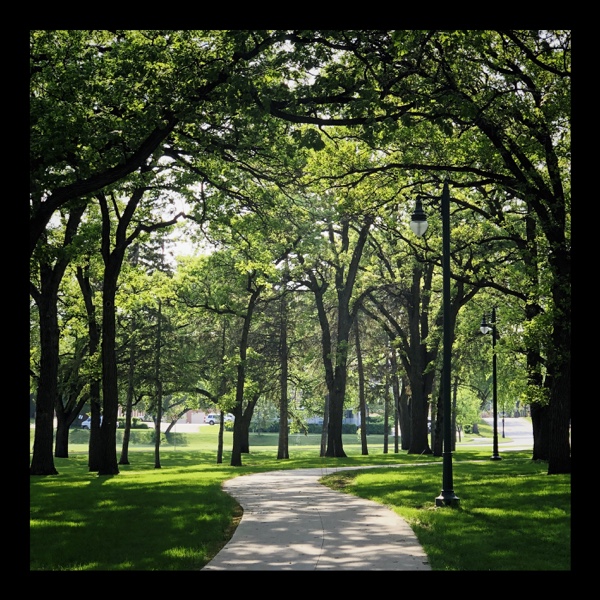 Sun-dappled sidewalk